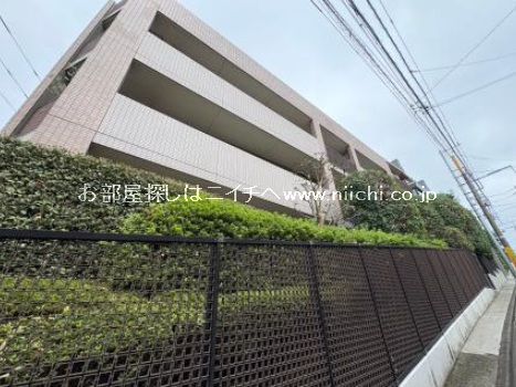 ���C�I���Y�q���Y�Q�{��