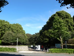 代々木公園