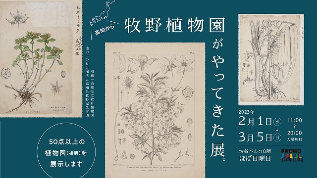 牧野植物園がやってきた展2023渋谷