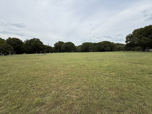 代々木公園