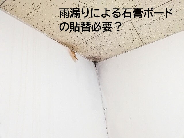 雨漏り被害による石膏ボードの貼替必要?