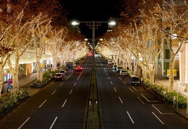 表参道フェンディイルミネーション2025